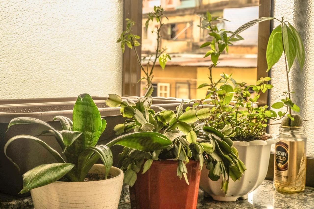 Dora Hostel Да Лат Екстериор снимка